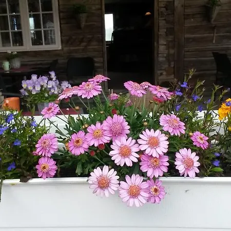 Munkeby Farm stay *